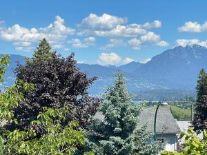a view of a mountain range with trees and a house at Cozy Guest Rooms Near UBC, Downtown and Beaches in Vancouver