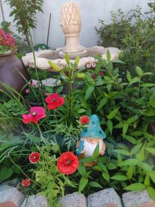 Giardino di Harbin Qiju Hotel Taiping International Airport