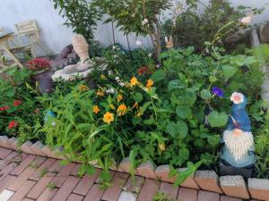 Giardino di Harbin Qiju Hotel Taiping International Airport