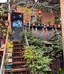 un montón de macetas al lado de un edificio en Home in batumi, en Batumi
