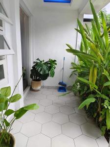 una stanza con piante sul pavimento di una casa di TUTUP Permanen a Muntilan