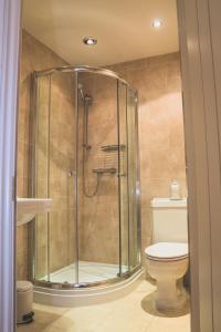 uma cabina de duche na casa de banho com WC em The Salwey Arms em Ludlow