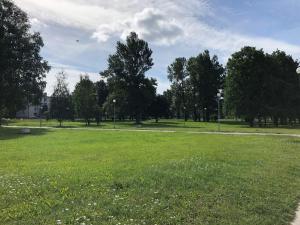 Κήπος έξω από το Ocean & Beach