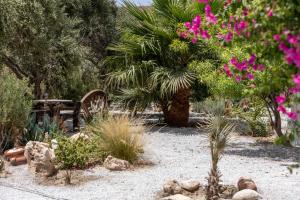 A garden outside Helios Beach Studios