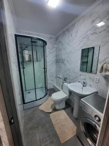 a bathroom with a toilet and a sink and a shower at Аэропорт apartments in Pokrovka