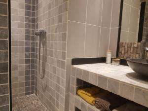 a bathroom with a sink and a shower at Les Lézards 2 au Soleil Draguignan in Draguignan +23 photos