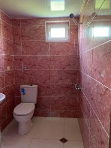 a bathroom with a toilet and a shower with a window at Hidden Paradise in Akhaltsikhe +13 photos