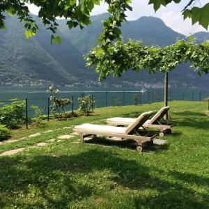 a group of benches sitting in the grass near a lake at Casa Vacanza Castagna in Nesso