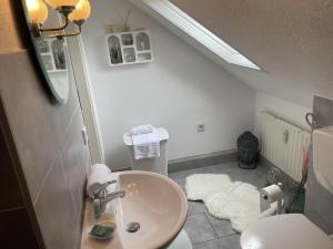 a bathroom with a sink and a toilet at Casa del Sol in Reinsfeld