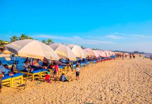 a line of umbrellas on a beach with people sitting at Baga Beach Paradise in Baga +38 photos