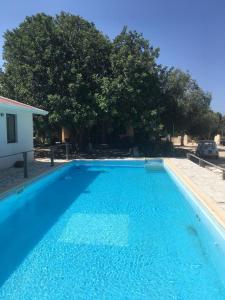 una gran piscina azul junto a una casa en La Casa del Carrubo con Piscina condivisa in campagna vicino al mare - Canestanco 18, en Santa Croce Camerina