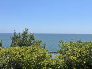 a view of the ocean from behind some trees at Casa Ferrari Vista Mare in Formia