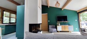 a living room with a fireplace and a green wall at Tres belle maison en bois,dans la Marina, 10pers, au bord de leau in Lacanau