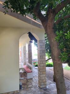 Zahrada ubytování Krznar - Stari grad Pag