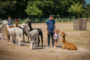 Fotografie z fotogalerie ubytování Ranczo Na Sówce v destinaci Ciechanowiec + 75 fotografií