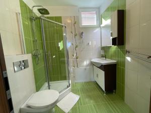 a bathroom with a shower and a toilet and a sink at Vila Salzburg in Ocna Sibiului +24 photos
