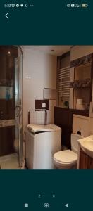 a bathroom with a toilet and a sink at Kawalerka pod jabłonią in Wielki Kack