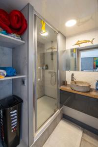 a bathroom with a shower and a sink at Le Flamboyant in Saint-Gilles les Bains