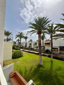 Vườn quanh Piso F-Primavera GT