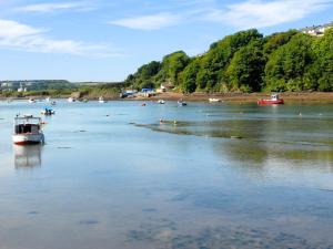 Fotografie z fotogalerie ubytování Woodpecker-Qc1186 v destinaci Milford Haven