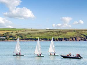Fotografie z fotogalerie ubytování Woodpecker-Qc1186 v destinaci Milford Haven