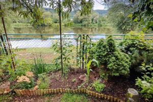 Puutarhaa majoituspaikan Lazy River Hut ulkopuolella