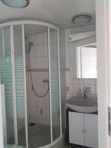 a bathroom with a shower and a sink at Waldbadhäusel Naturbad-Bungalow in Neuwiese