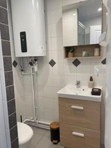 ein Badezimmer mit Waschbecken, Toilette und Spiegel in der Unterkunft Studio -La madeleine- proche Gares de Lille in Lille