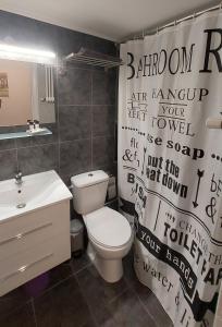 a bathroom with a toilet and a sink and a shower curtain at Miranda's Apartment Koukaki in Athens