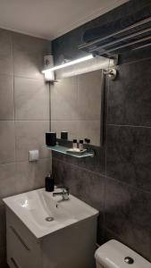 a bathroom with a sink and a mirror and a toilet at Miranda's Apartment Koukaki in Athens