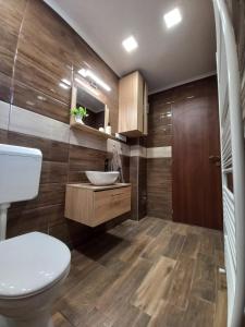 a bathroom with a white toilet and a sink at Oázis Apartman in Sárospatak +44 photos