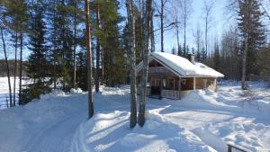 a small cabin in the snow in the woods at Koivurannan Lomamökit Kataja in Mikkeli +12 photos