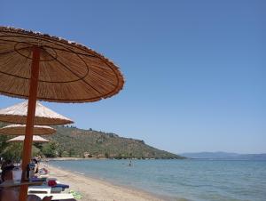 a beach with a straw umbrella and the water at Evriaki Rooms Lesvos in Gera