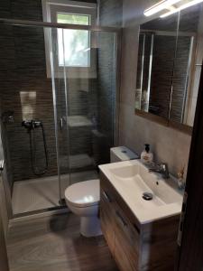 KariáArgéiko traditional house的带淋浴、马桶和水槽的浴室 更多22张照片