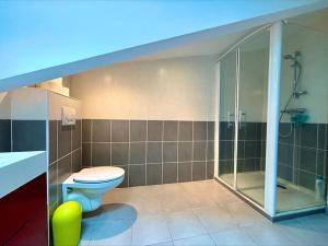 un bagno con wc e doccia in vetro di Villa T5 jardin au pays basque a Urcuit Altre 11 foto