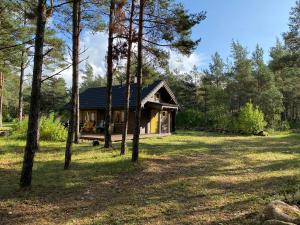 Gallery image of Kuldvitsa puhkemaja saunaga in Upa