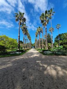 a road lined with palm trees in a park at Zen Queendom - Garden View in Newport