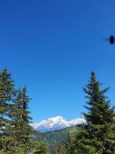 Výhľad na hory alebo výhľad na hory priamo z apartmánu