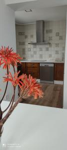 a kitchen with a table with a plant on it at Apartamentos Bolonia - M a n u e l a in Bolonia