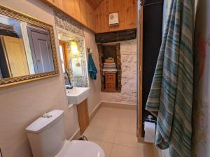 a small bathroom with a toilet and a sink at Secluded Private Cottage Hot-tub, Sauna & Fire-pit in Carrick on Shannon +61 photos