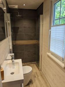 ein Badezimmer mit Toilette, Waschbecken und Dusche in der Unterkunft Hellaberg IV Ferienhaus am Waldrand mit Sauna & großer Terrasse in Langenbach + 16 Fotos