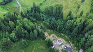 Luftaufnahme eines Waldes mit Bäumen und einem Haus in der Unterkunft Vatra Muntilor in Neagra Şarului