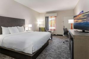 a hotel room with a bed and a desk at Quality Inn Asheville Downtown Tunnel Rd in Asheville