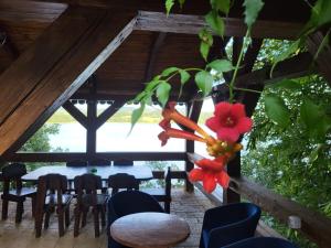 Zahrada ubytování The LakeHouse Tauț + 15 fotografií