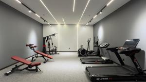 Fitness centrum a/nebo fitness zařízení v ubytování Hotel Sultan