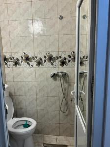 a bathroom with a shower and a toilet at David și Daria in Vaslui