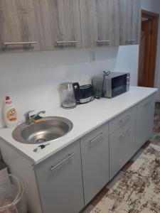 a kitchen counter with a sink and a microwave at David și Daria in Vaslui