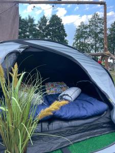 RybnoPole namiotowe Rumiana Dolina的相册照片