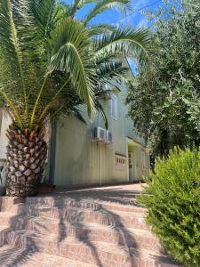 Zahrada ubytování Apartments Svekrić