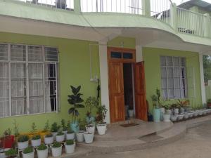 a green house with potted plants in front of it at LM house in Yekhum